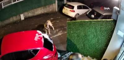 Beykoz&rsquo;da "niye park ettin&rsquo; dedi komşusunu bı&ccedil;akladı