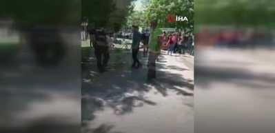 K&ouml;pek g&uuml;zellik yarışmasındaki bir k&ouml;pek k&uuml;&ccedil;&uuml;k &ccedil;ocuğun y&uuml;z&uuml;n&uuml; par&ccedil;aladı
