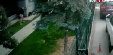 K&ouml;peklerin saldırısına uğrayan kadın canını zor kurtardı