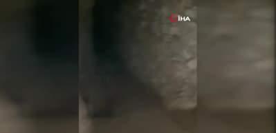 İsve&ccedil; yapımı silah ter&ouml;ristlerin mağarasından &ccedil;ıktı