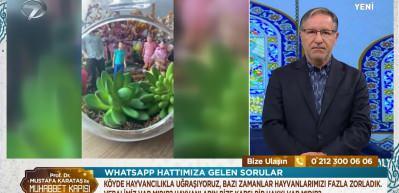 İslam'da hayvan hakları! Hayvana eziyet etmenin ve öldürmenin günahı