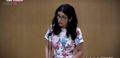 İsve&ccedil;'in ter&ouml;rist milletvekili: Amineh Kakabaveh