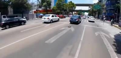 Y&uuml;rekleri ağza getiren koşturmaca! Ka&ccedil;an k&ouml;peği bakın nasıl yakaladı