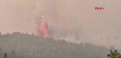 Marmaris'te çıkan orman yangınına havadan müdahale