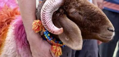 Kurban abdestsiz kesilir mi? İlahiyat&ccedil;ı Yazar Adnan Şensoy a&ccedil;ıklıyor