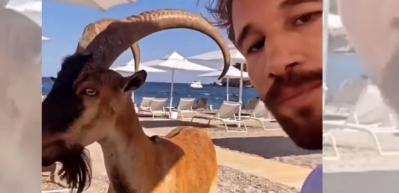 Survivor All Star ikincisi Adem plajda ke&ccedil;iye karpuz yedirdi