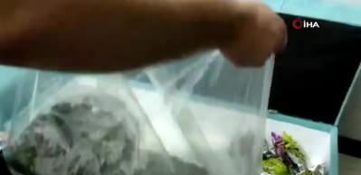 İstanbul&rsquo;da cips paketinde uyuşturucu satışına operasyon: 3.5 kilogram marihuana ele ge&ccedil;irildi