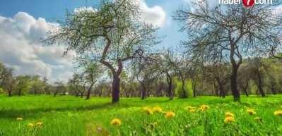 Meteoroloji uyardı! Sıcaklar artıyor...