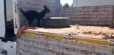Hatay Erzin'de 41 kilo metamfetamin ile 6,4 kilo eroin ele ge&ccedil;irildi