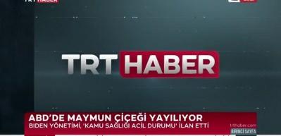 ABD&rsquo;de maymun &ccedil;i&ccedil;eği nedeniyle acil durum ilan edildi