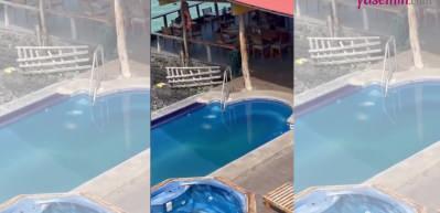 Tatil yapanlara özenen fok balığı!