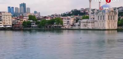 İstanbul Boğazında yunus ş&ouml;leni
