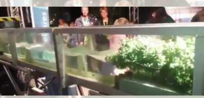 Ağa&ccedil;landırmanın &ouml;nemini anlatan video sosyal medyada ilgi g&ouml;rd&uuml;!