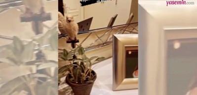 Kardeş acısı dinmeyen Alişan yeğenlerine sadece kalbinde değil evinde de k&ouml;şe a&ccedil;tı!