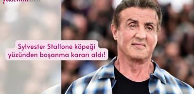 Sylvester Stallone köpeği yüzünden boşanma kararı aldı!