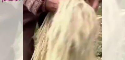 Keten tohumu bitkisinin hazırlanışı sosyal medyada ilgi g&ouml;rd&uuml;!