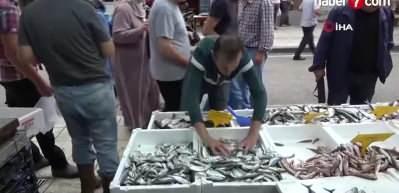 Balık tezgahlarında &ccedil;inekop satışa sunulurken g&ouml;zler palamutta