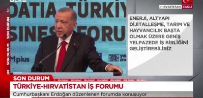 Cumhurbaşkanı Erdoğan "Orta ve Doğu Avrupa'da en fazla yatırım alan 2. &uuml;lkesiyiz" dedi