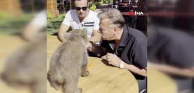 Nuri Al&ccedil;o yavru ayıya gazoz i&ccedil;irdi! İzleyenler g&uuml;lme krizi ge&ccedil;irdi