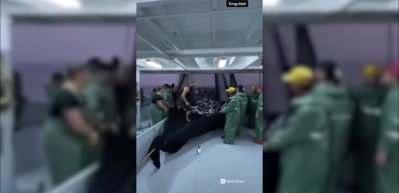 Karadeniz'de palamut bereketi! Kasa kasa balıklar karaya b&ouml;yle &ccedil;ıktı