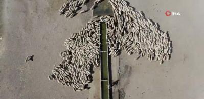 Her şey suya ulaşmak i&ccedil;in.... 15 kilometrelik tozlu yolculuk