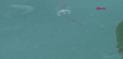 Plastik atıklar doğayı mahvediyor... Kefalin plastik halkaya sıkıştığı g&ouml;r&uuml;nt&uuml; herkesin y&uuml;reğini burktu...