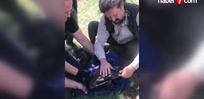 'Kaşif Şahgaga' T&uuml;rkiye'ye geri d&ouml;nd&uuml;