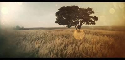 "Vatanın tapusu şehitlerin mezar taşıdır" Mustafa Kutlu'nun satırlarında "Vatan nedir?"