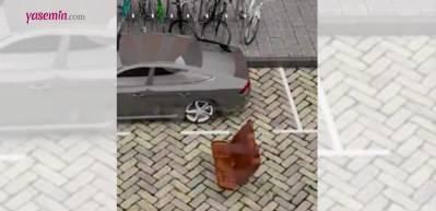 Arabayı park etmeyi bilmeyenlerden misiniz? Bu video size g&ouml;re...