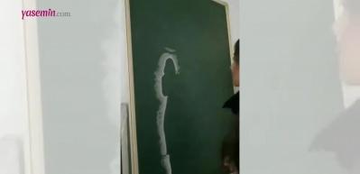 Sonbaharın tebeşir sanatıyla buluşması! Hayran kalacaksınız...