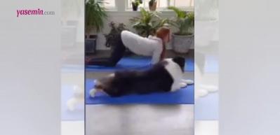 Bu köpeğin yaptıklarına şok olacaksınız! Sahibiyle yoga yapan...