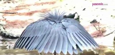 Kara Balık&ccedil;ıl'dan balıkları kandıran "Sığınak Avlanma" Taktiği