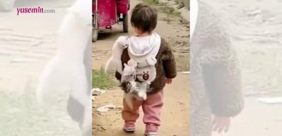 Askıda kedi uygulaması hayata geçti!