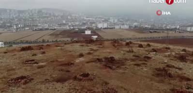Elazığ'da 74 yaşındaki İsmail amca, taşlık araziyi ormana &ccedil;evirdi!