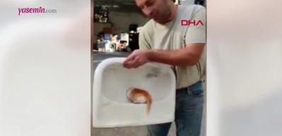 Kafası lavabo deliğine sıkışmıştı! İşçiler imdadına koştu...