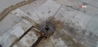 Adana'da "&Ccedil;ukurova 7" kuyusundan petrol fışkırdı