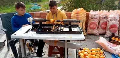 Samsun'da iki kardeş, ailesinin işini kolaylaştırmak i&ccedil;in hurma soyma makinesi yaptı!
