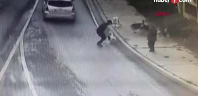 K&ouml;pek korkusundan dışarı &ccedil;ıkamıyor! 10 yaşındaki Baran psikolojik tedaviye başladı...