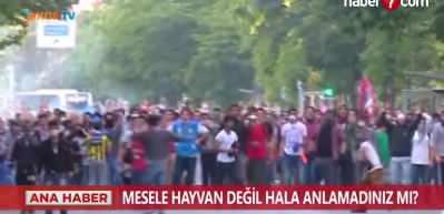 S&ouml;zde hayvanseverlerden 'darbe' tehdidi: H&uuml;k&uuml;met devrilir