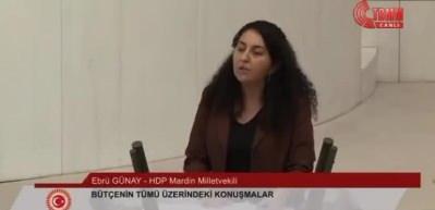 Skandal a&ccedil;ıklamalar! PKK destek&ccedil;isi HDP'li vekil savunmaya ayrılan b&uuml;t&ccedil;eyi eleştirdi! 