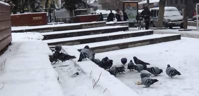 Kars beyaza b&uuml;r&uuml;nd&uuml;, keyfini &ouml;ğrenciler &ccedil;ıkardı