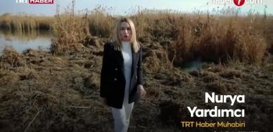 T&uuml;rkiye'nin &ouml;nemli sulak alanlarından Eber G&ouml;l&uuml; yok olmanın eşiğinde!