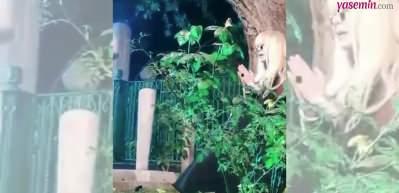 Zerrin Özer hareketiyle pes dedirtti! Sosyal medya tepkiler çığ gibi