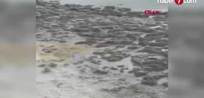 Salda G&ouml;l&uuml; kumsalında kararma yayılıyor!