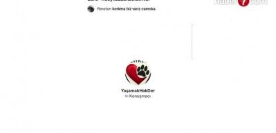 S&ouml;zde hayvansever gruplar kaos peşinde! &lsquo;Sokak &ccedil;atışmaları &ccedil;ıkar&rsquo; tehdidi