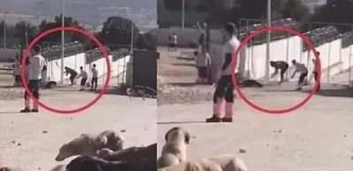 Barınakta k&ouml;peğe eziyetle ilgili g&ouml;r&uuml;len davada gelişme! Tahliye kararı &ccedil;ıktı...