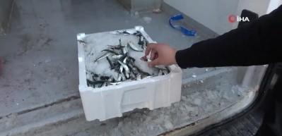 Denizli'de balık tezgahları &ccedil;inekop ile şenlendi