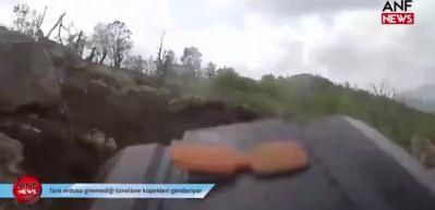 TSK'ya 'k&ouml;pek'li iftira! Hayvan derneği başkanından korkun&ccedil; s&ouml;zler 