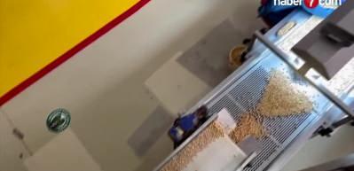 T&uuml;rk fındığı yeni pazar bulmak i&ccedil;in 15 &uuml;lkede tanıtılacak