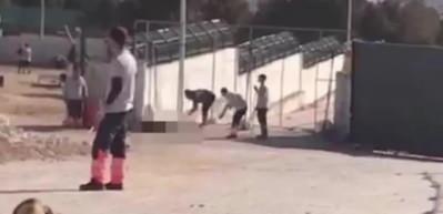 Barınaktaki k&ouml;peğe uygulanan vahşete verilen cezaya savcılıktan itiraz geldi